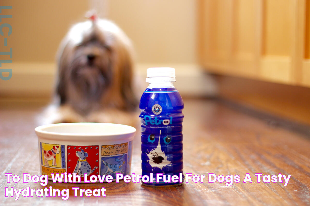 To Dog With Love Petrol Fuel for Dogs A Tasty, Hydrating Treat