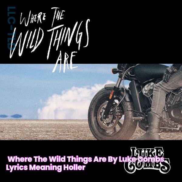 ‘Where the Wild Things Are’ by Luke Combs Lyrics & Meaning Holler