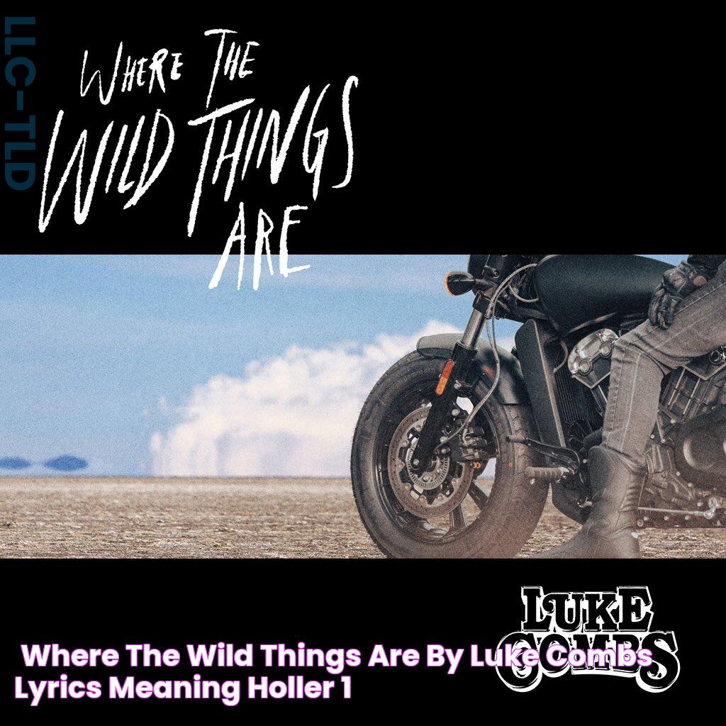 ‘Where the Wild Things Are’ by Luke Combs Lyrics & Meaning Holler