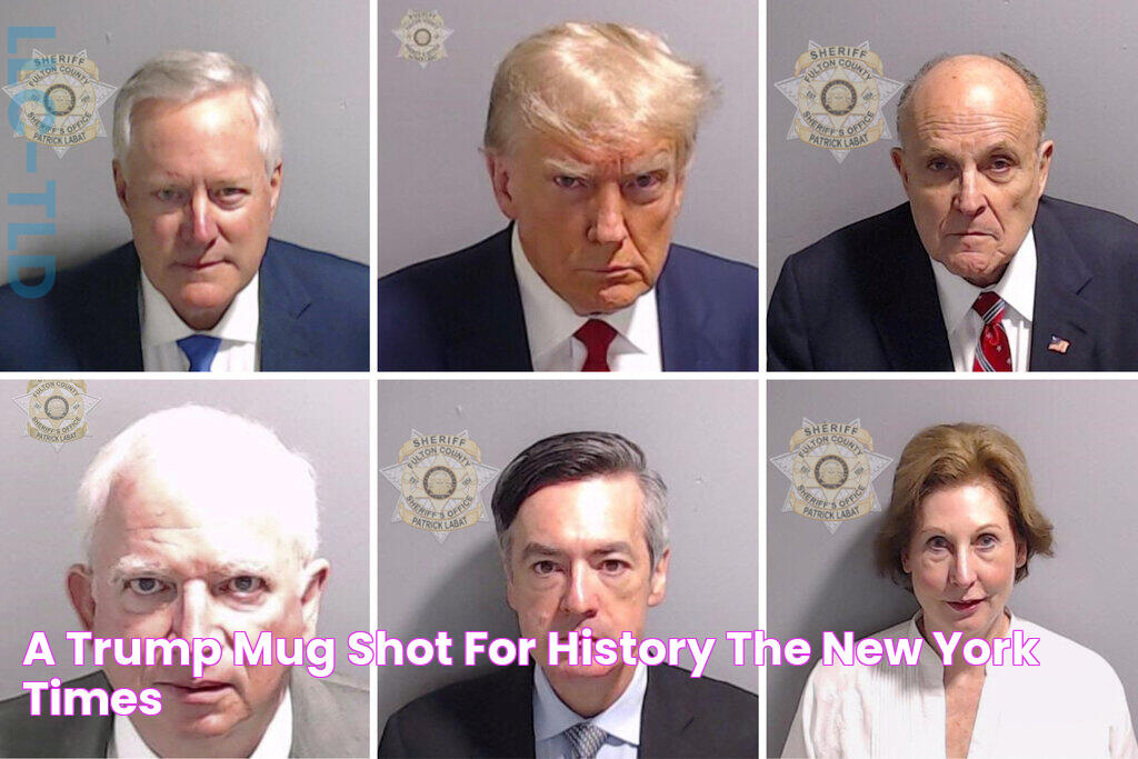 A Trump Mug Shot for History The New York Times