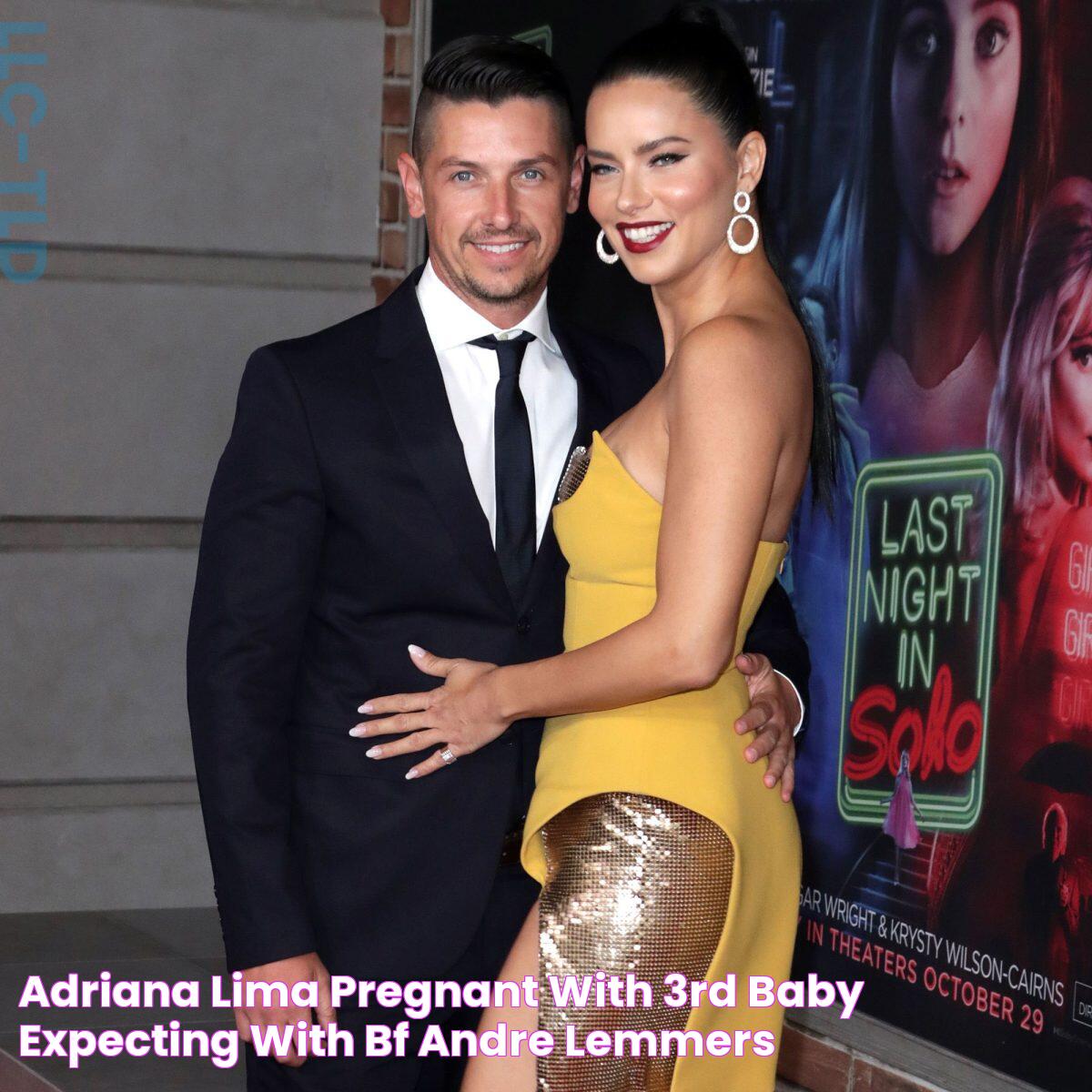 Adriana Lima Pregnant With 3rd Baby, Expecting With BF Andre Lemmers