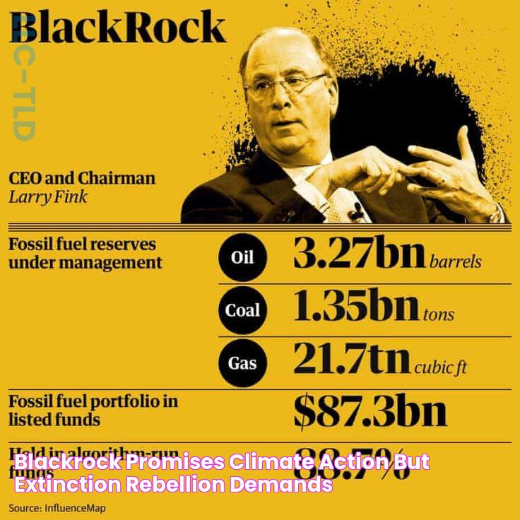 BlackRock promises climate action, but Extinction Rebellion demands