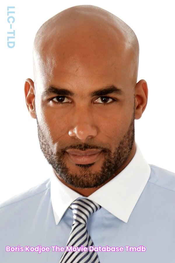 Boris Kodjoe — The Movie Database (TMDB)