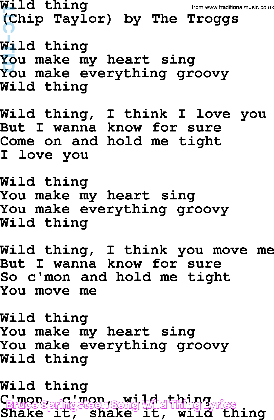 Bruce Springsteen song Wild Thing, lyrics