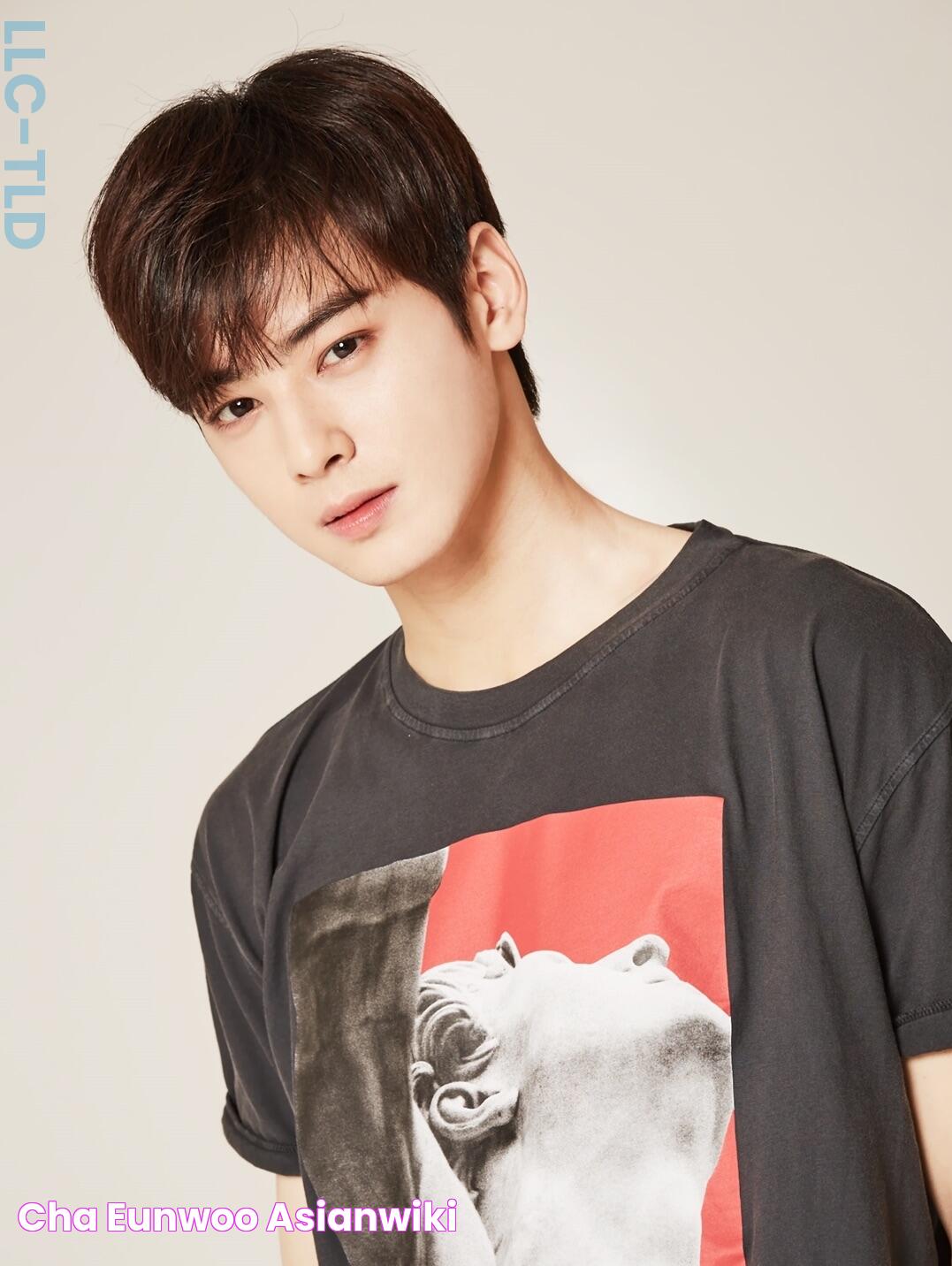 Cha EunWoo AsianWiki