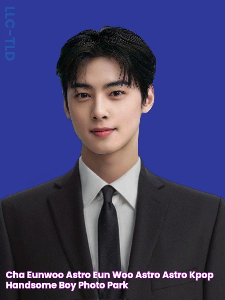 Cha Eunwoo Astro, Eun Woo Astro, Astro Kpop, Handsome Boy Photo, Park