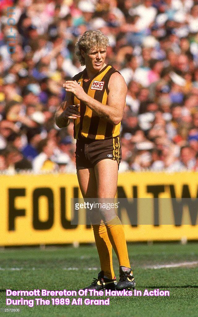 Dermott Brereton of the Hawks in action during the 1989 AFL Grand