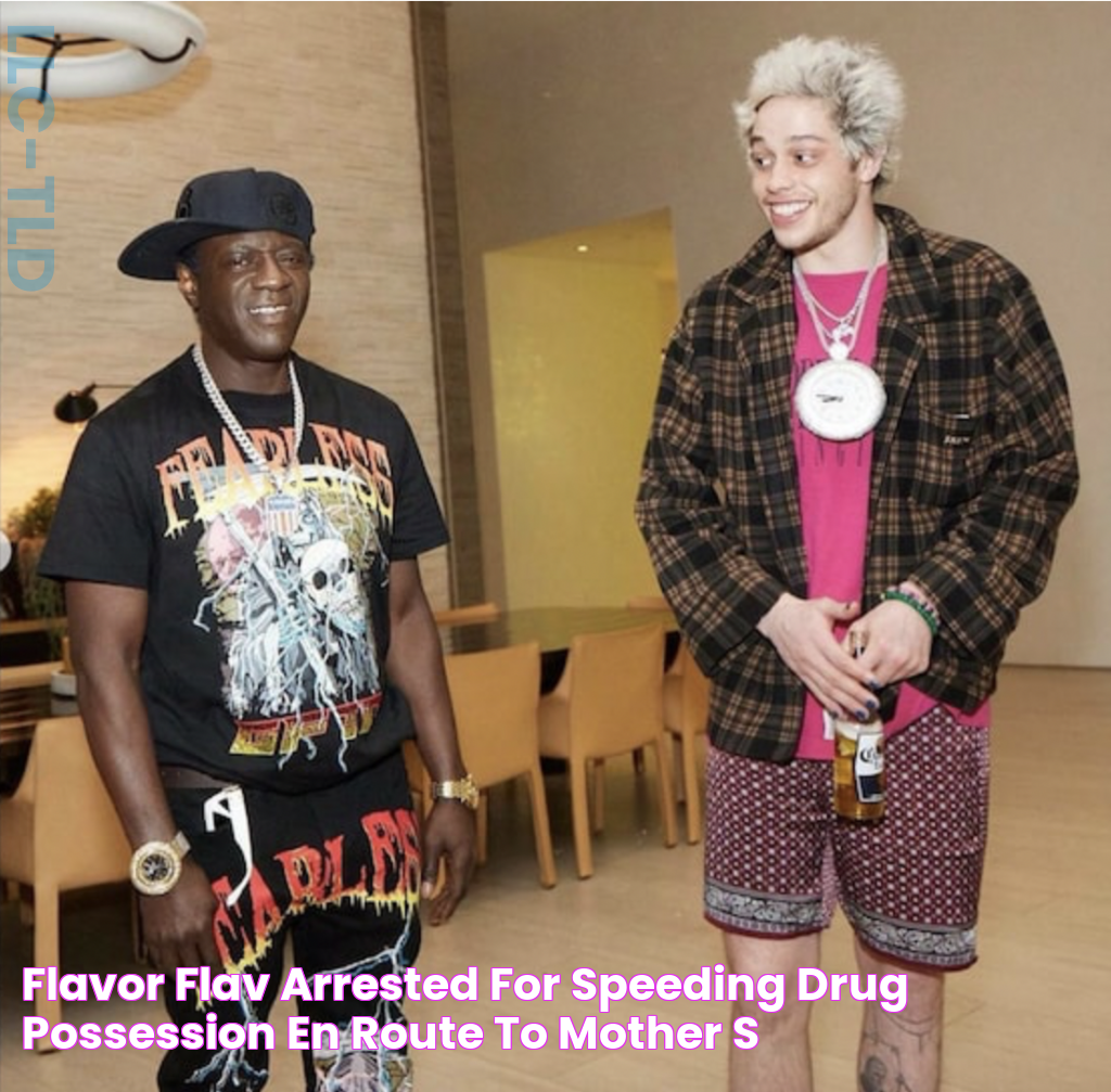 Flavor Flav Arrested for Speeding, Drug Possession En Route to Mother's