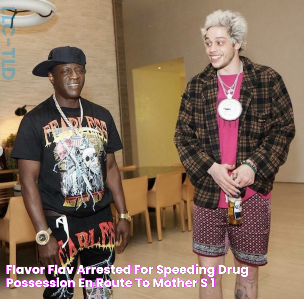 Flavor Flav Arrested for Speeding, Drug Possession En Route to Mother's