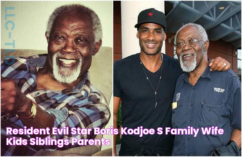 Resident Evil Star Boris Kodjoe's Family Wife, Kids, Siblings, Parents