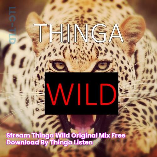 Stream Thinga Wild (Original Mix) [Free Download] by thinga Listen