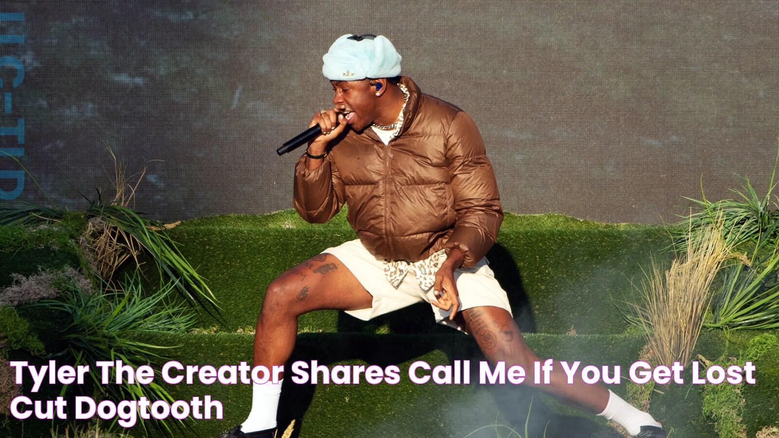 Tyler, the Creator Shares 'Call Me If You Get Lost' Cut 'Dogtooth'