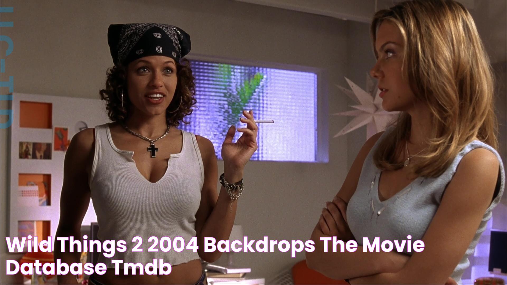 Wild Things 2 (2004) Backdrops — The Movie Database (TMDB)