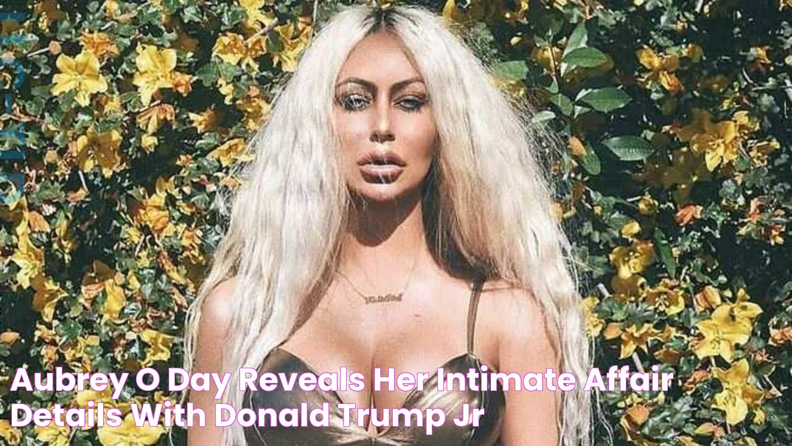 Aubrey O’Day reveals her intimate affair details with Donald Trump Jr