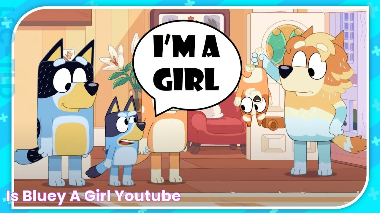 Is Bluey A Girl? YouTube