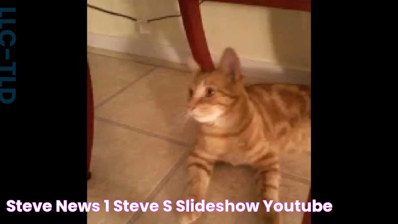 Steve News 1 Steve's Slideshow YouTube