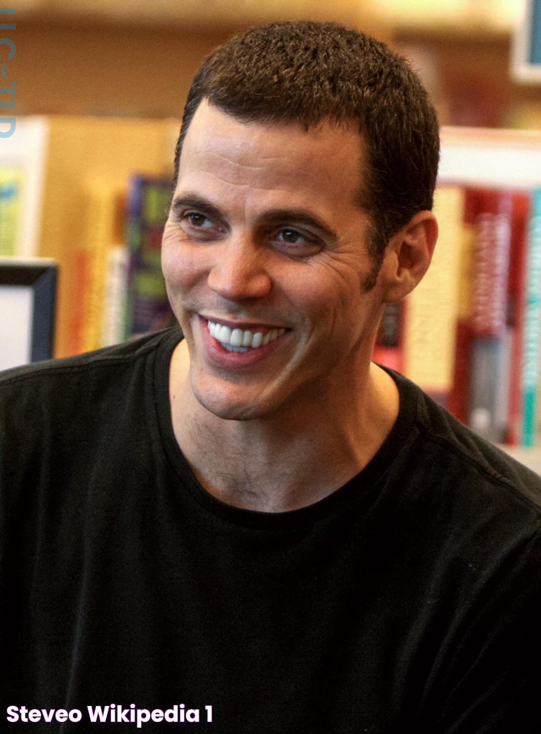 SteveO Wikipedia