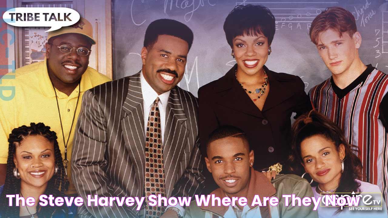 The Steve Harvey Show Where Are They Now?