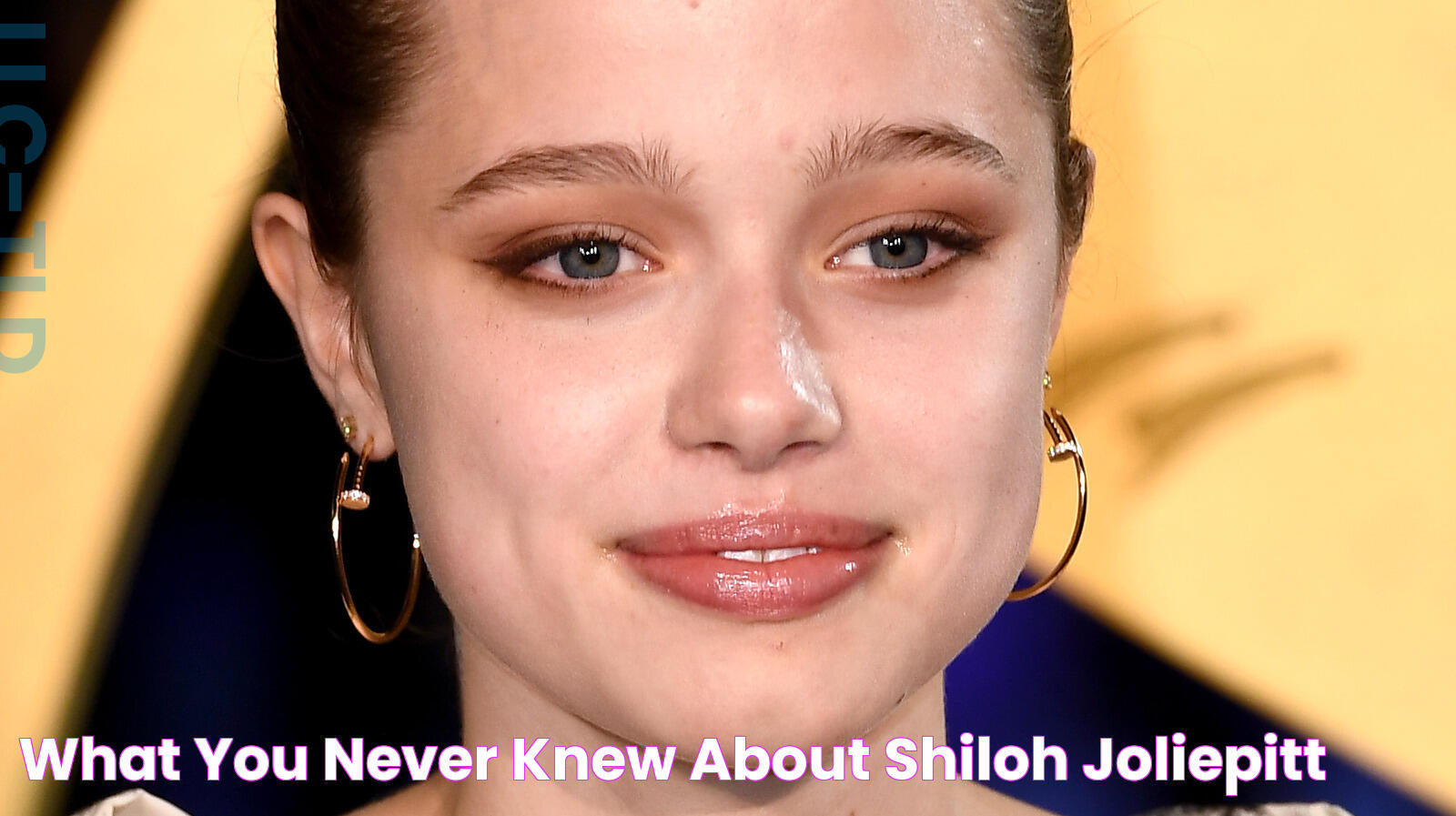 What You Never Knew About Shiloh JoliePitt