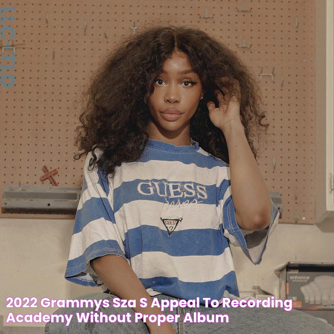 2022 Grammys SZA's Appeal to Recording Academy Without Proper Album