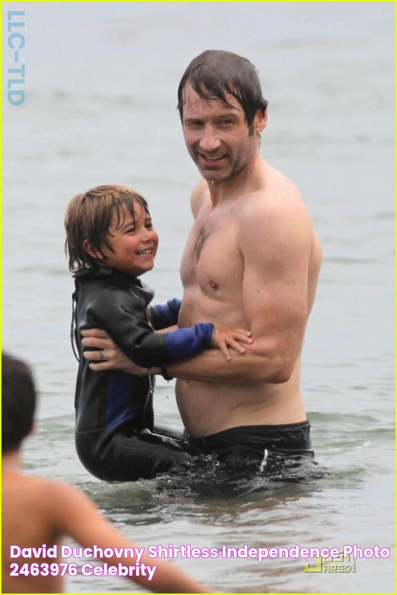 David Duchovny Shirtless Independence Photo 2463976 Celebrity