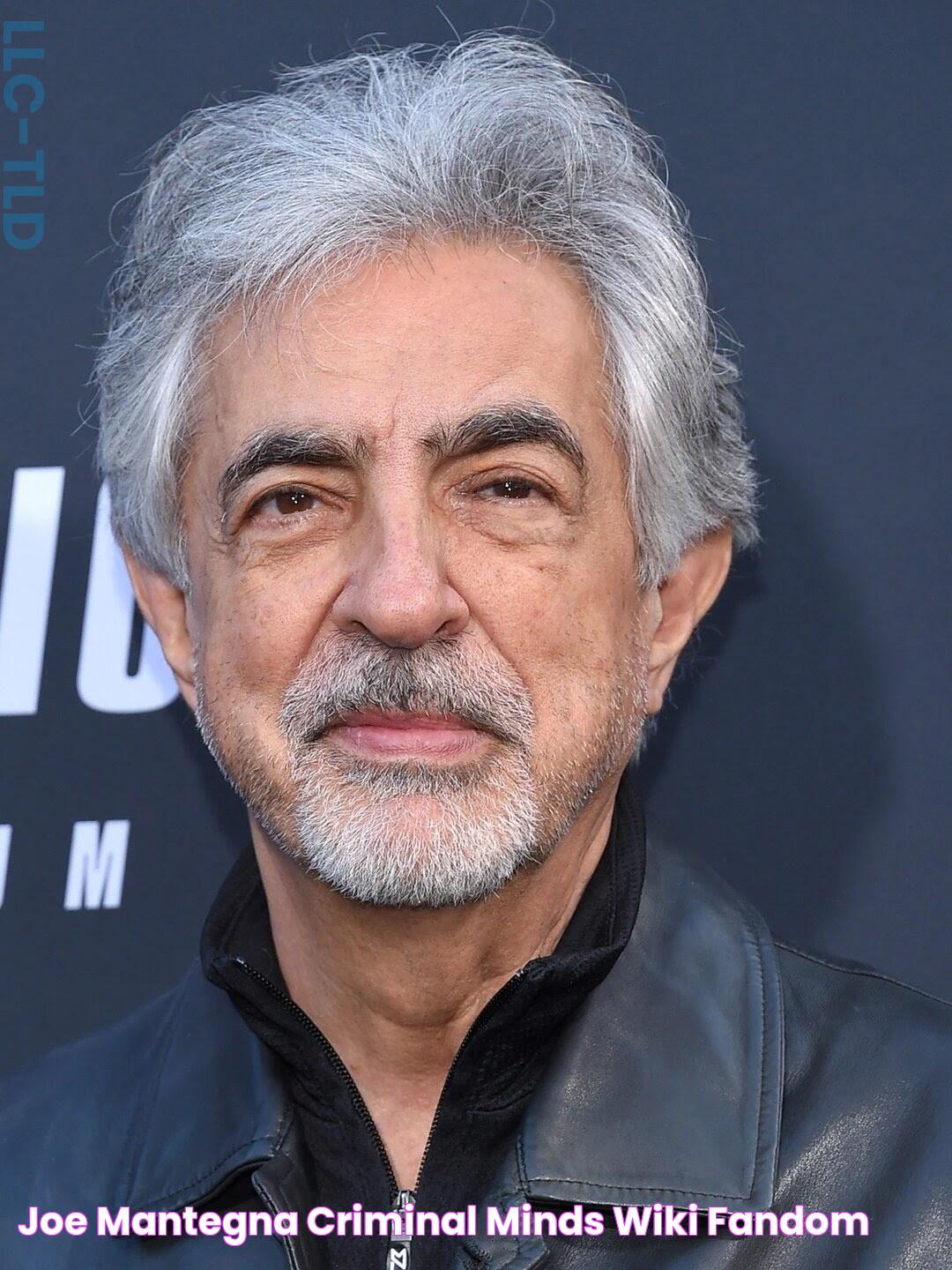 Joe Mantegna Criminal Minds Wiki Fandom