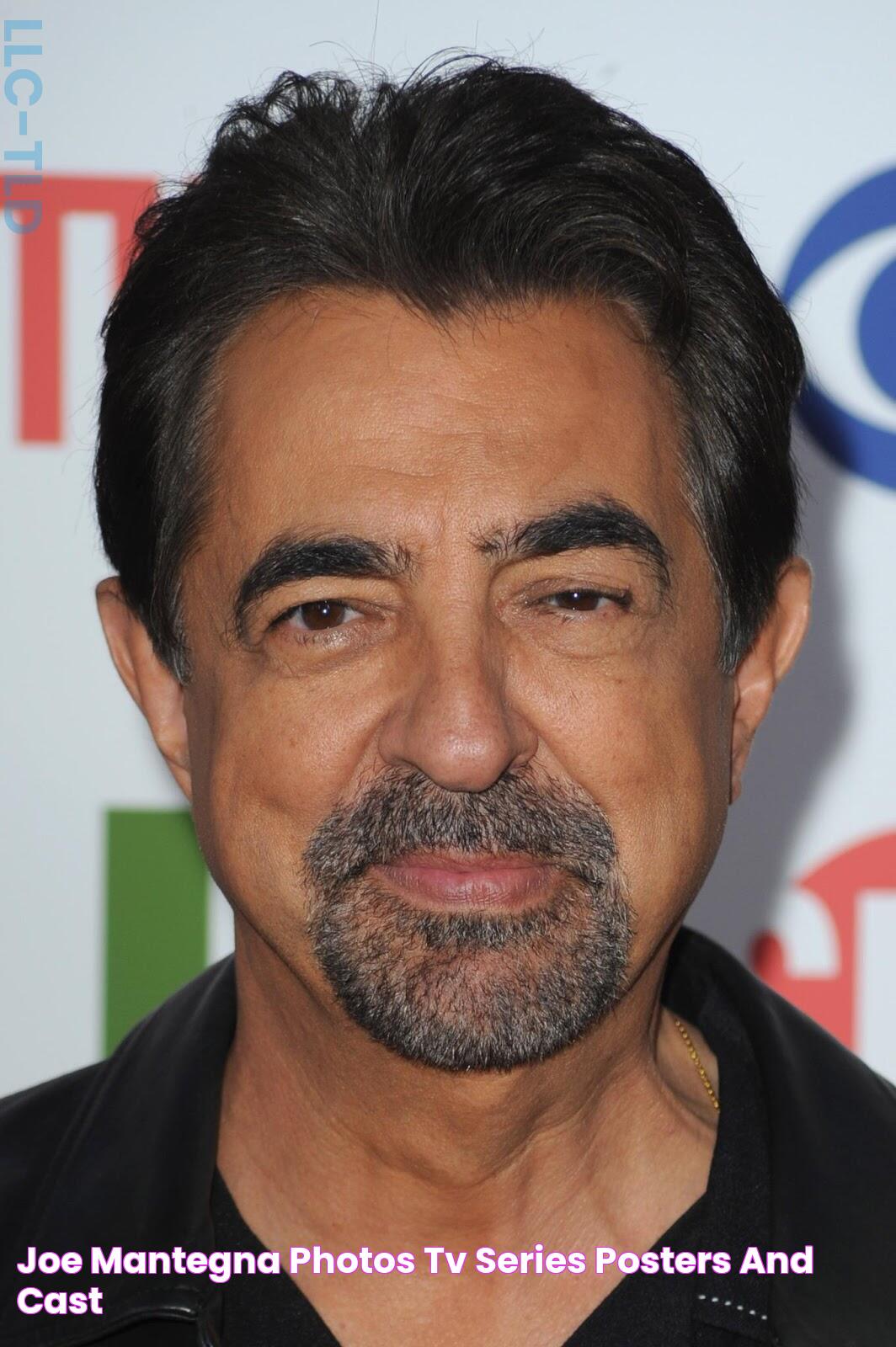 Joe Mantegna Photos Tv Series Posters and Cast