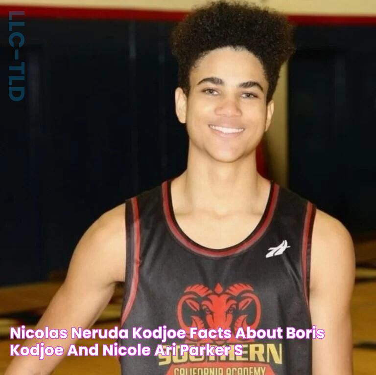 Nicolas Neruda Kodjoe Facts About Boris Kodjoe And Nicole Ari Parker's