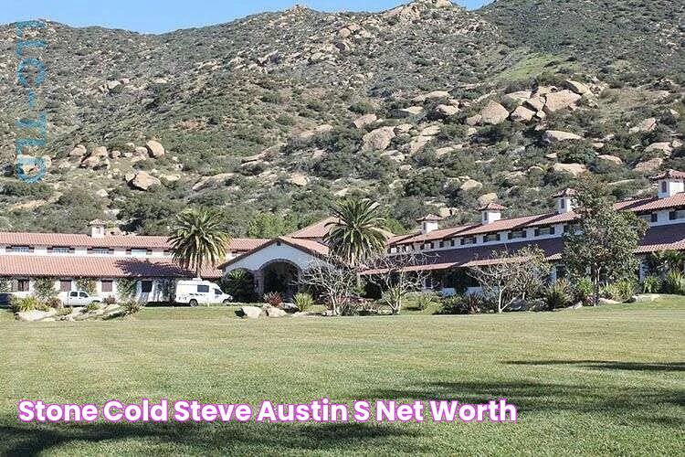 Stone Cold Steve Austin's Net Worth