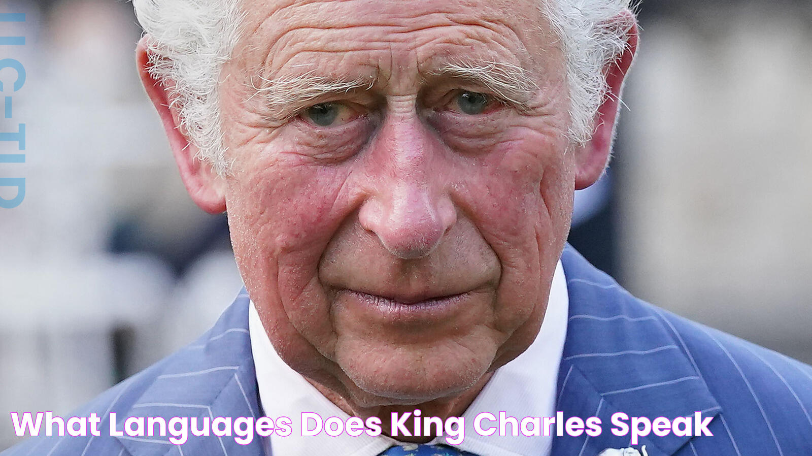 What Languages Does King Charles Speak?