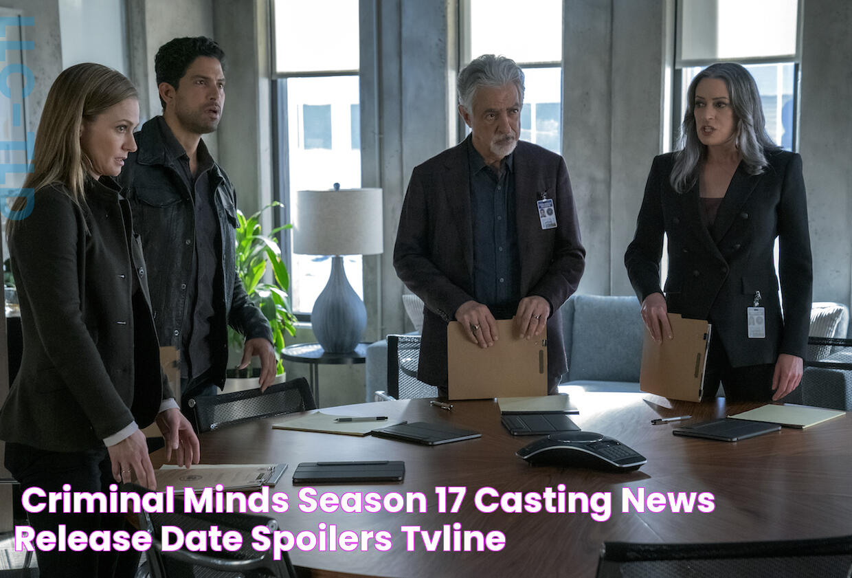 ‘Criminal Minds’ Season 17 Casting News, Release Date, Spoilers TVLine