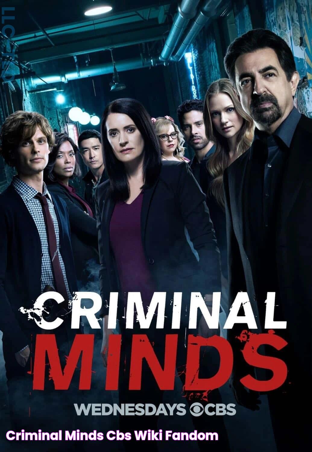 Criminal Minds CBS Wiki Fandom