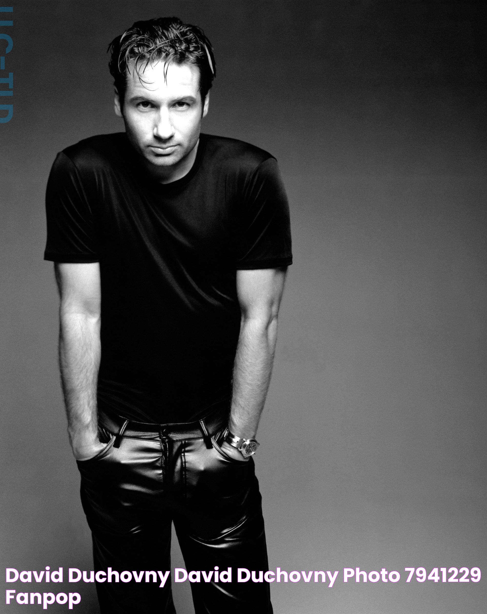 David Duchovny David Duchovny Photo (7941229) Fanpop