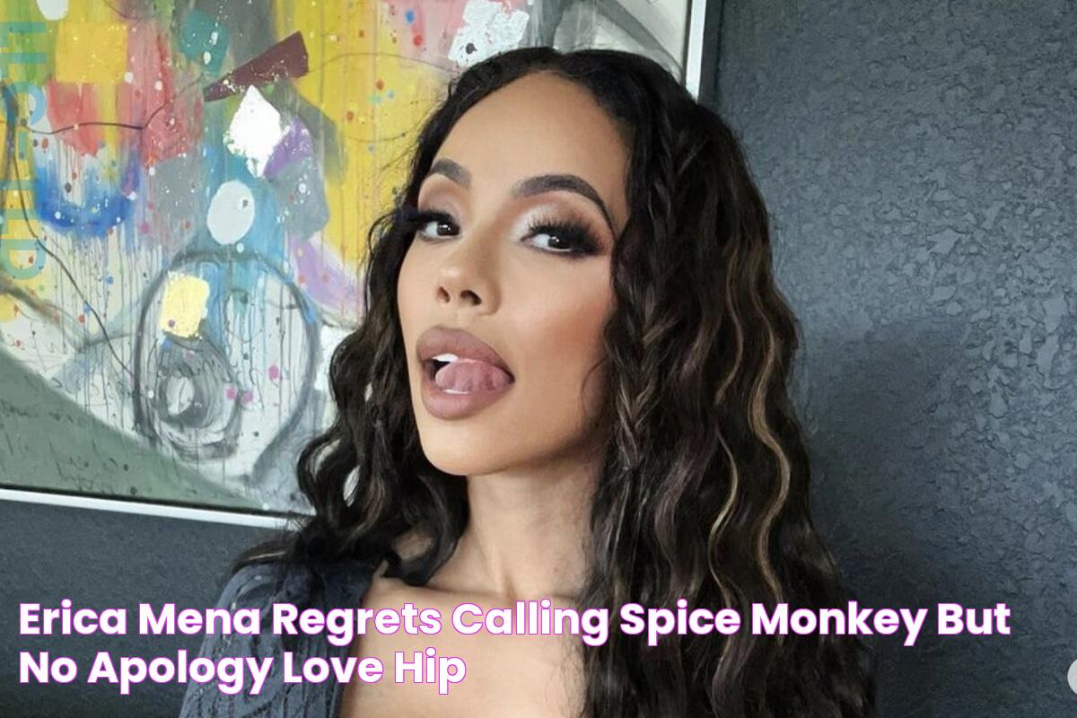 Erica Mena Regrets Calling Spice 'Monkey' But No Apology Love & Hip