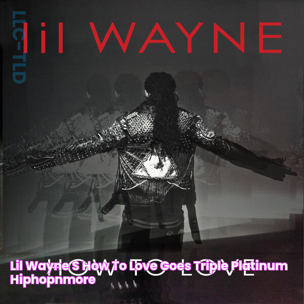 Lil Wayne's 'How To Love' Goes Triple Platinum HipHopNMore