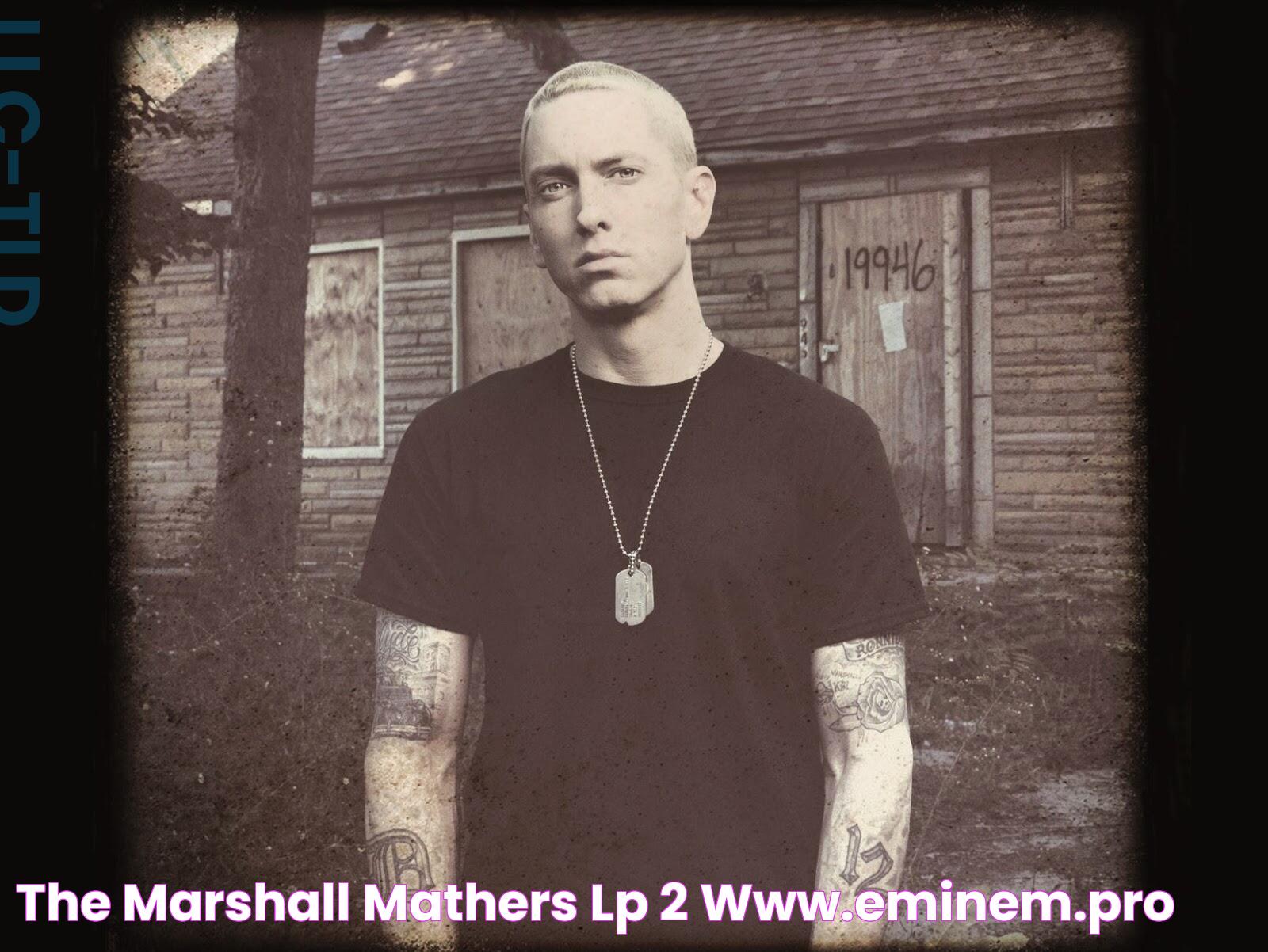 The Marshall Mathers LP 2 www.Eminem.pro