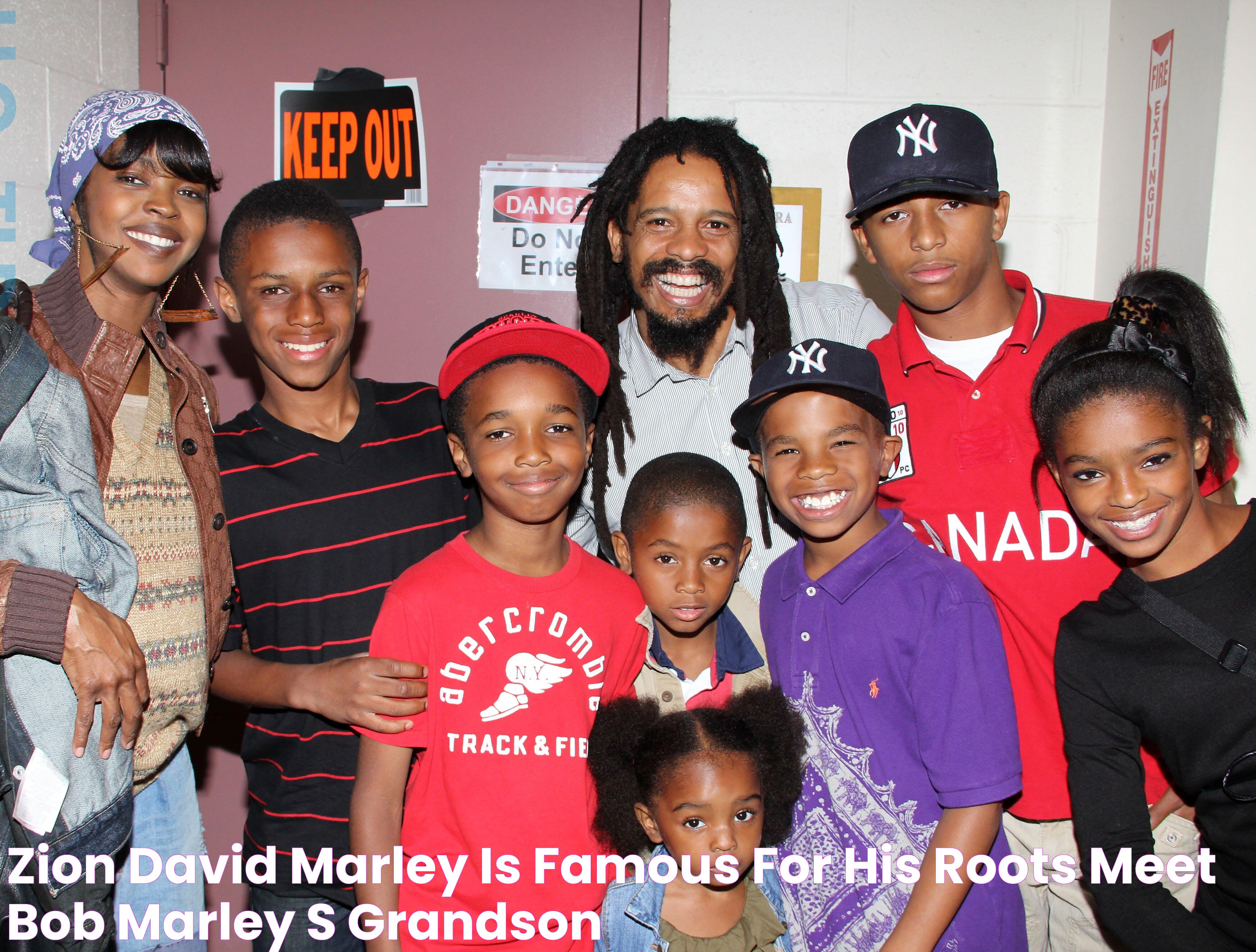 Zion David Marley Is Famous for His Roots Meet Bob Marley's Grandson