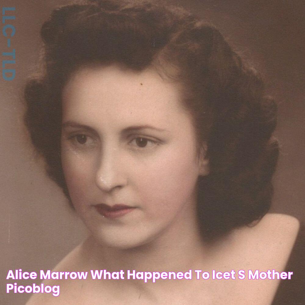 Alice Marrow What Happened To IceT's Mother? PicoBlog