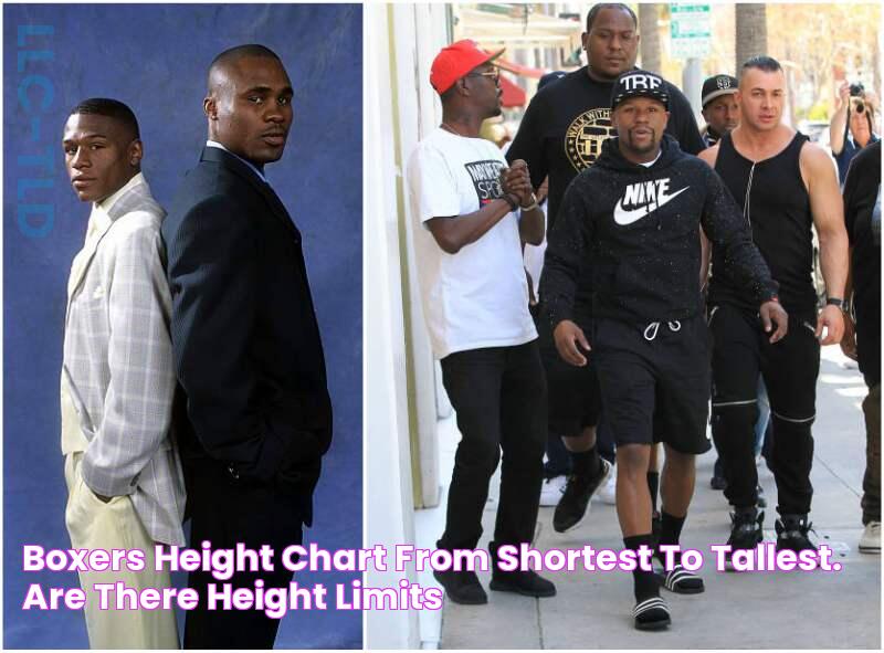 Boxers height chart from shortest to tallest. Are there height limits?