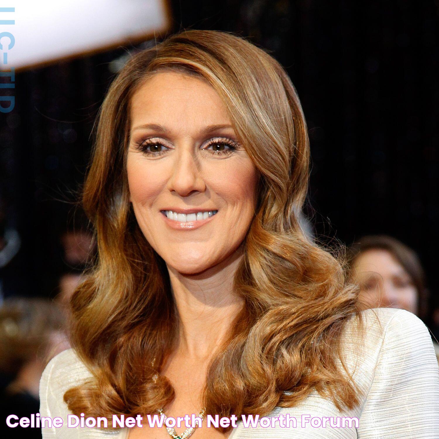 Celine Dion Net Worth Net Worth Forum