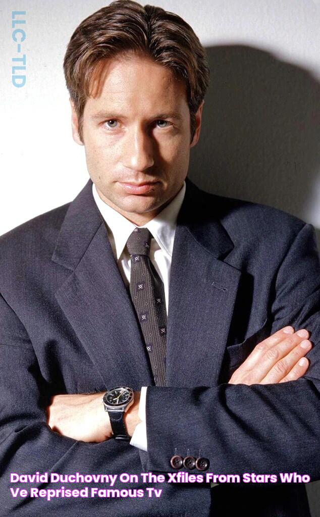 David Duchovny on The XFiles from Stars Who've Reprised Famous TV