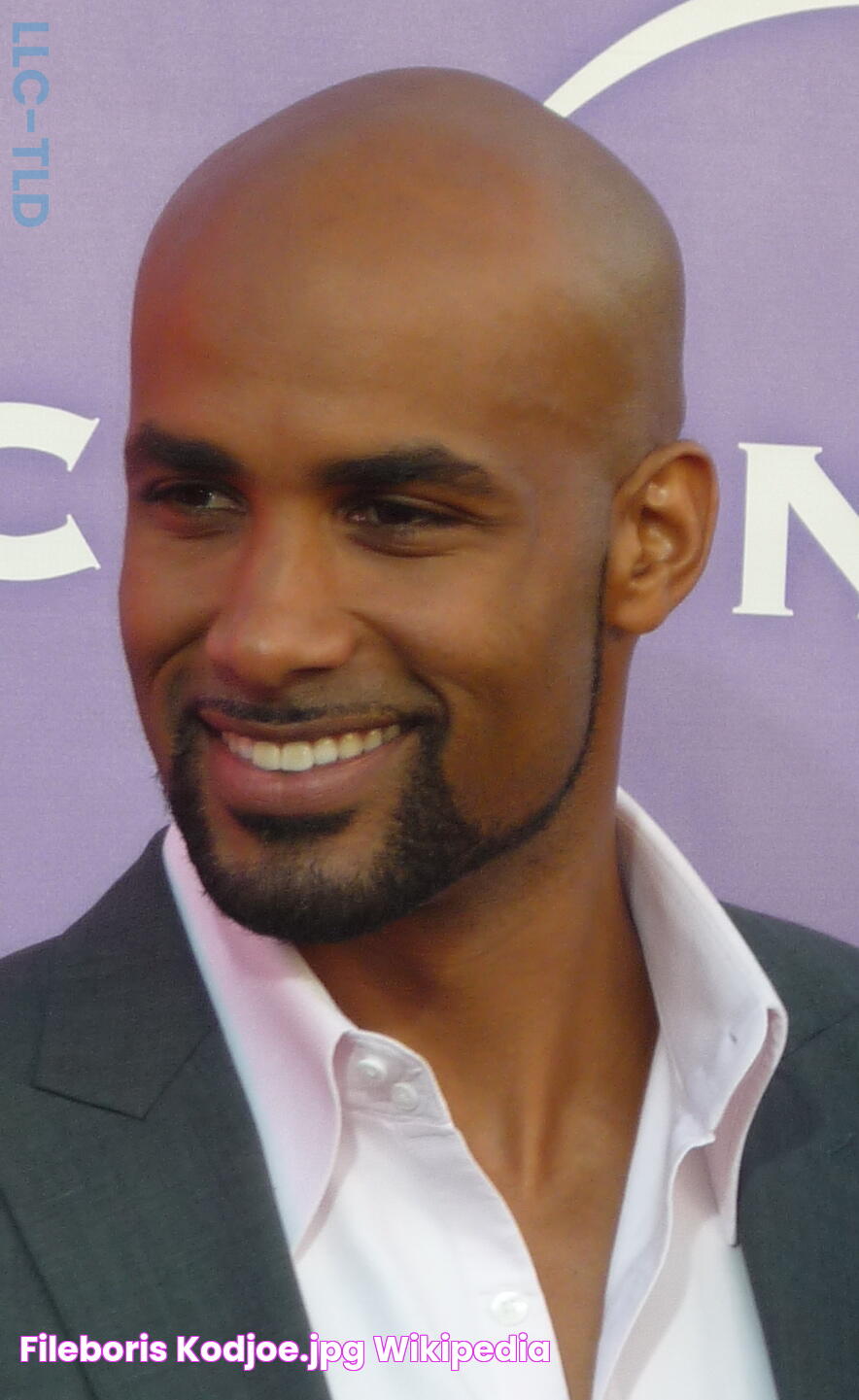 FileBoris Kodjoe.jpg Wikipedia