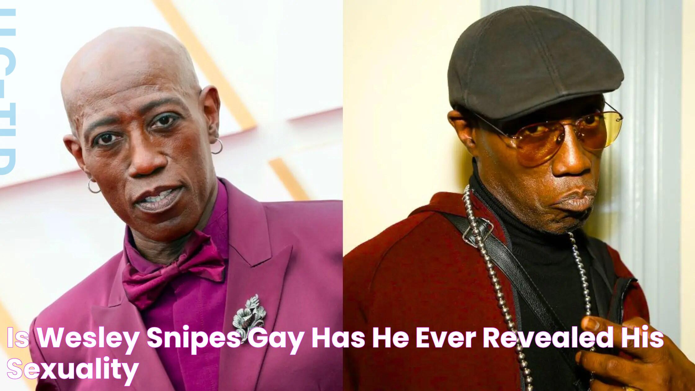 Is Wesley Snipes Gay? Has He Ever Revealed His Sexuality?