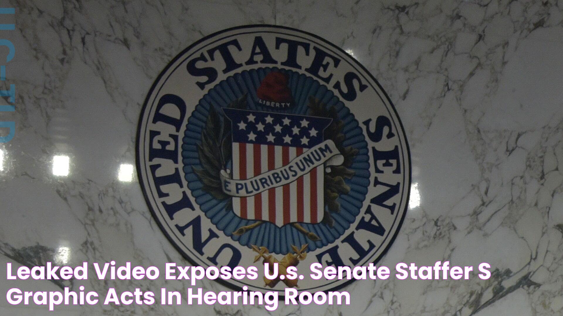 Leaked video exposes U.S. Senate staffer’s graphic acts in hearing room