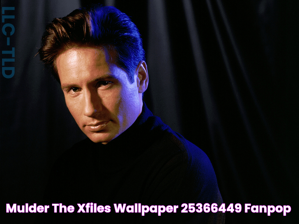 Mulder The XFiles Wallpaper (25366449) Fanpop