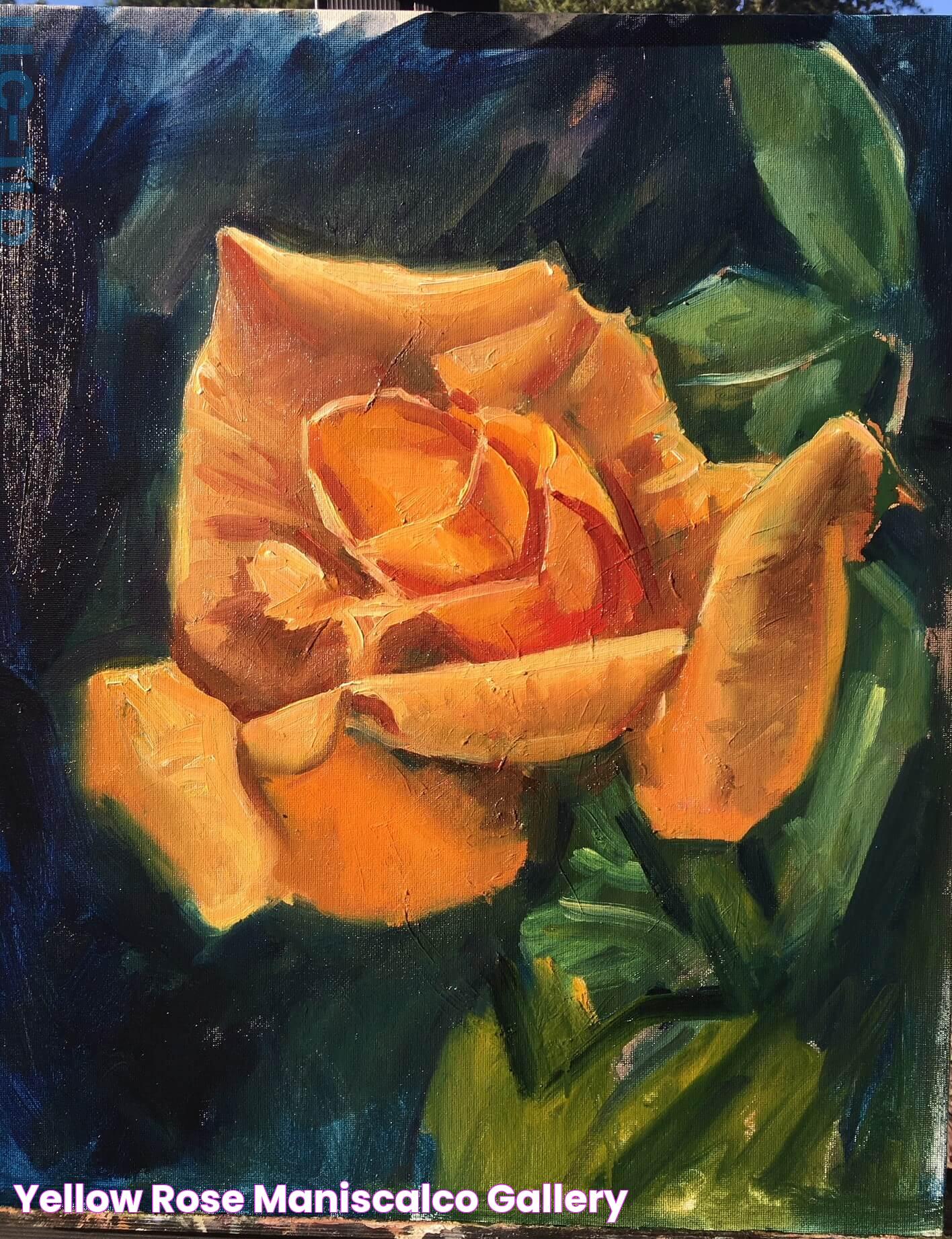 Yellow Rose Maniscalco Gallery