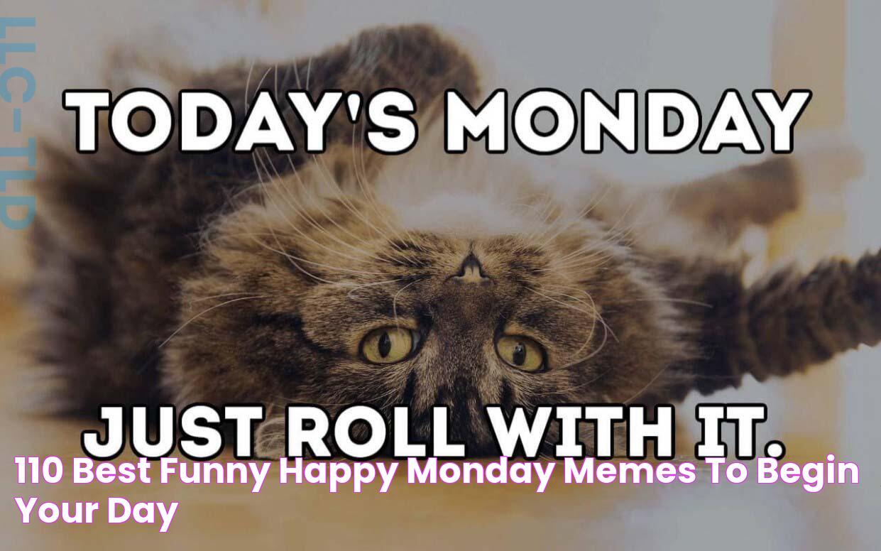 110 Best Funny Happy Monday Memes To Begin Your Day