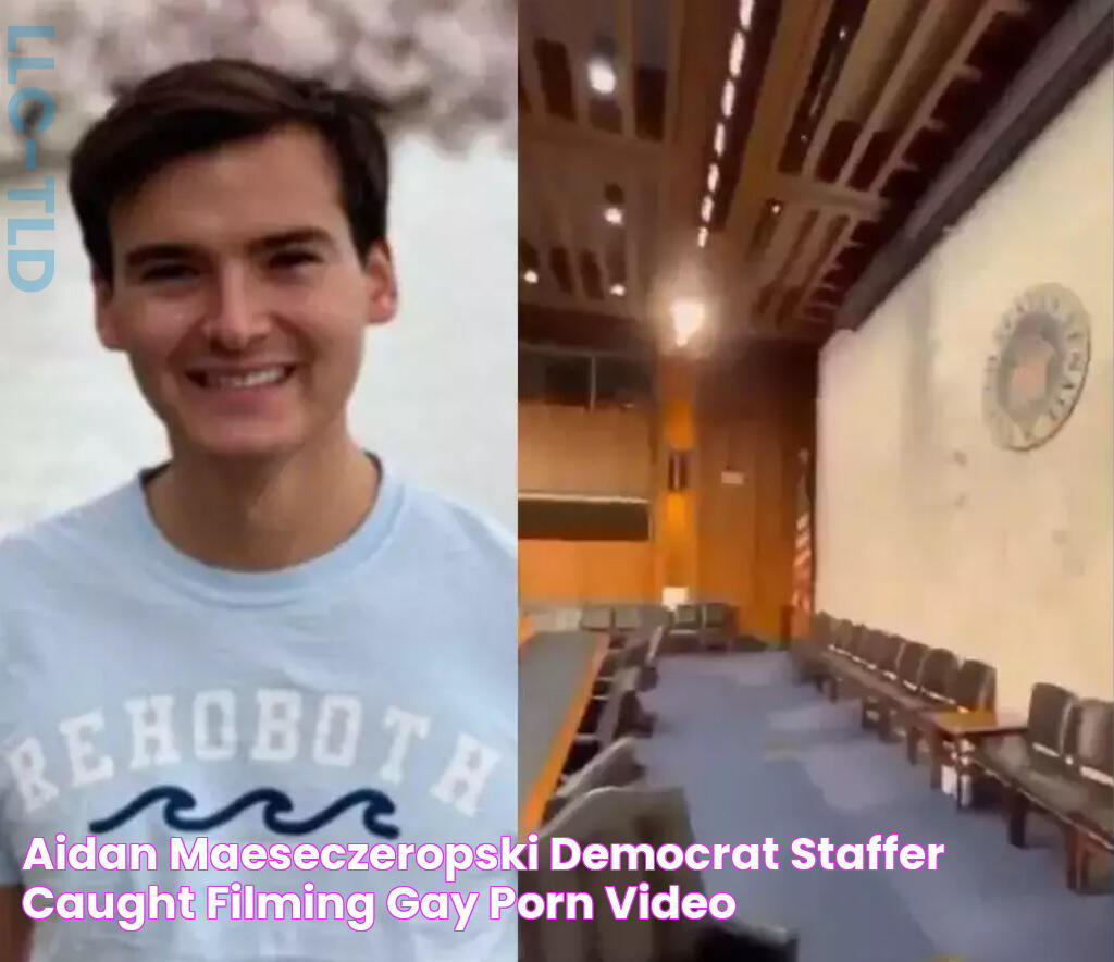 Aidan MaeseCzeropski Democrat Staffer Caught Filming Gay Porn Video