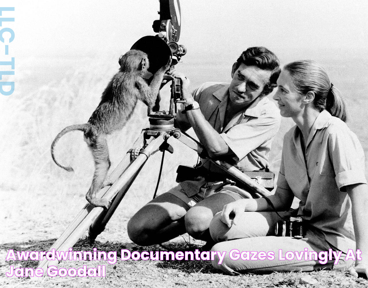 Awardwinning documentary gazes lovingly at Jane Goodall