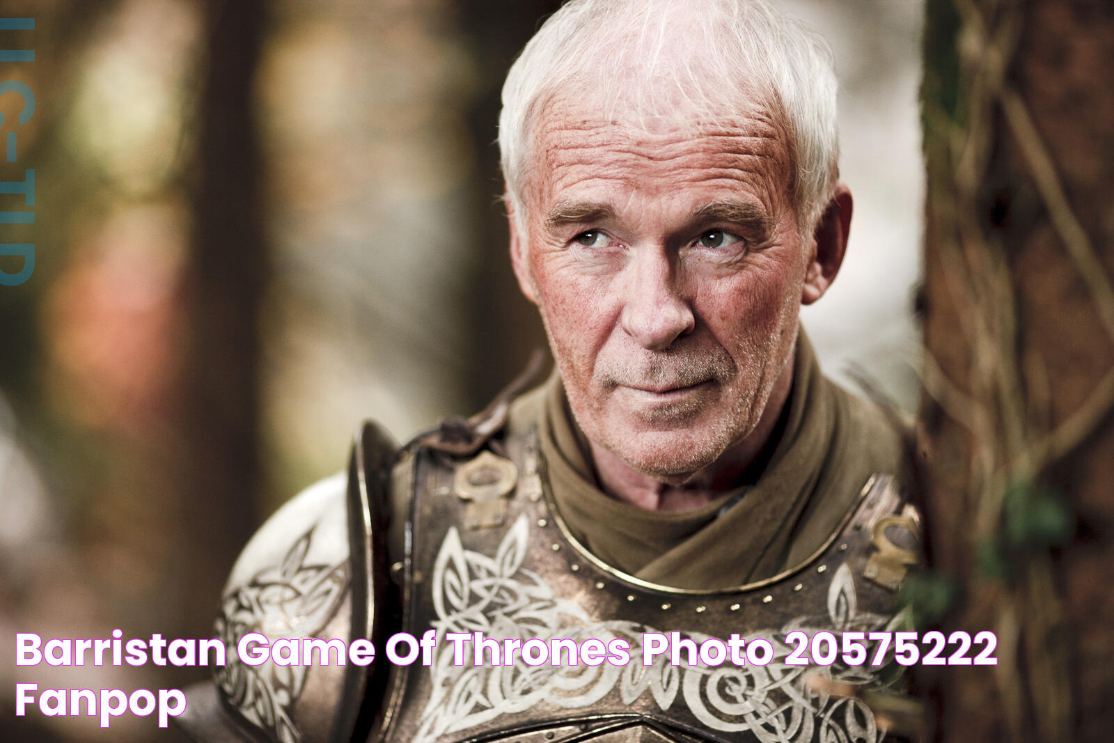 Barristan Game of Thrones Photo (20575222) Fanpop